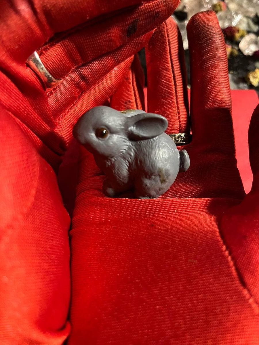 Kaninchen — Artefakt der Liebesanziehung — Foto 2 von 6